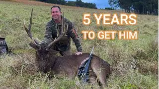 5 Years To Get Him