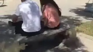 кулкиништи пранктар