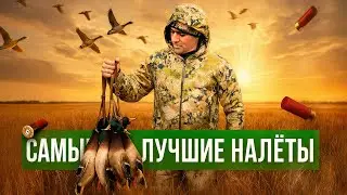 ЛУЧШАЯ ОХОТА НА УТОК С ПОДСАДНЫМИ