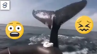 Near to Death. They’re lucky to survive #7