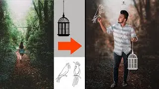 BIRD CREATIVE INSTAGRAM VIRAL PHOTO MANIPULATION IN PHOTOSHOP CC|R4S