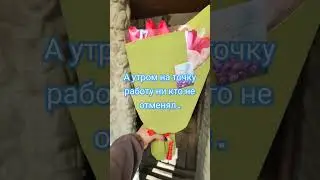 9 марта , конец эпопеи.Небольшой перерыв и все по новой.#выгонкатюльпанов #выгонкатюльпановк8марта