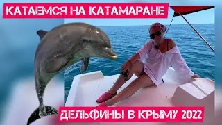 Dolphins in Crimea/Ride a catamaran