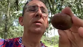 Tasting Beer’s Black Fig