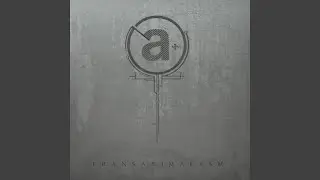 Transanimalism