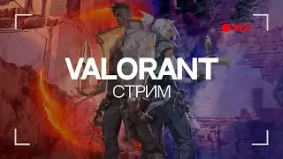 Здесь могло быть название стрима | VALORANT