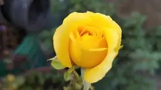 FELIZ FIN DE SEMANA PARA TODAS Y TODOS