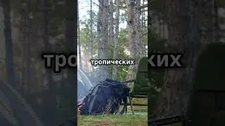 Дополнительный багажник - мечты об отдыхе