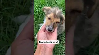 I want to stay with you 