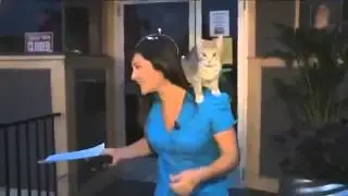 1 СМЕШНЫЕ И УСАТЫЕ
