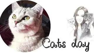 ❤ВЕСНА❤ПОЗДРАВЛЯЕМ С ДНЁМ КОШЕК❤HAPPY CATS DAY❤