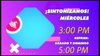 MI NEGOCITO PROGRAMA DE TV QUE PROMUEVE LA ECONOMIA FAMILIAR