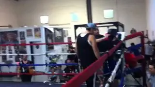 Bebe vs tony perris gym