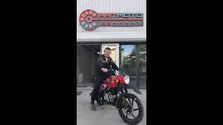 ⚡ У АртМото в Хмельницькому на тебе чекають легендарні Bajaj Boxer, Pulsar та Dominar!
