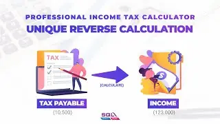 SQL Professional Income Tax Calculator