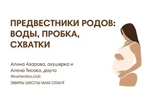 ПРЕДВЕСТНИКИ РОДОВ: ПРОБКА, ВОДЫ, СХВАТКИ