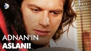 Behlül Geleceklerini Kurtardı!  |  Aşk-ı Memnu Efsane Sahneler