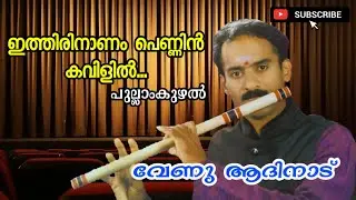 ഇത്തിരി നാണം പെണ്ണിൻ കവിളിൽ.... പുല്ലാംകുഴൽ /വേണു ആദിനാട്