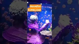 AquaZoo Dusseldorf