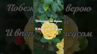 Наталья Забровская. Бог замыслил тебя прекрасной...