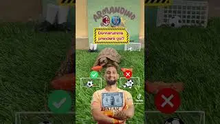 🥵⚽️🥅⁉️ #donnaruma #dollarumma #milan #psg  #championsleague #calcio #football #turtle #armandino