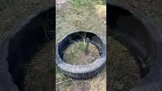 На что способна сталь s90v