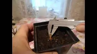 11. 02. 2023 г. Как возмутительны невежественные недовольства.