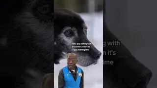 They Work Until They Don't Want To Anymore