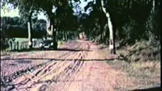 Ein Wald klagt an (1962)