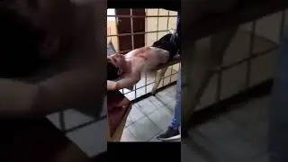 Допрос стрелявшего в Казани
