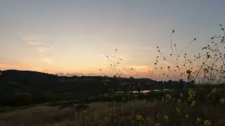 Walking the Shady Canyon Trail in Irvine, Southern California