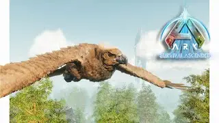 How to Tame an Argentavis! Ark: Survival Ascended [E4]