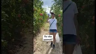 Дорого или дешево? #shortvideo #shorts #short