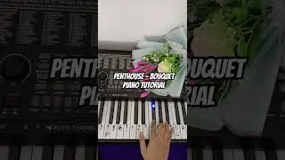 Penthouse - 花束のような人生を君に Piano Tutorial #notpianika #notangka #pianotutorial #penthouse
