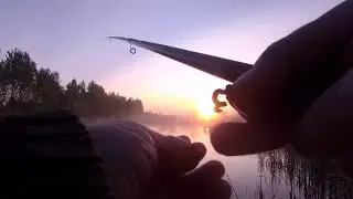 КОГО ТО ЗАЦЕПИЛ , НЕ ВИЖУ В КУВШИНКАХ ЧТО ЗА ЗВЕРЬ КУВЫРКАЕТСЯ .
