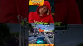 Cкалли о фразе： ＂пох＊＊ пох＊＊＂ 