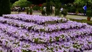 Красоты природы под красивую песню