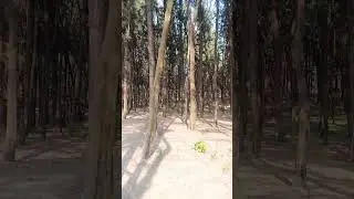 Nargol #Beach# Short# video #