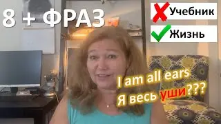 Восемь фраз на каждый день. Как сказать по-английски 