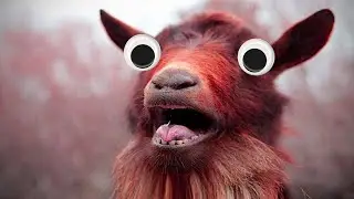 Goat Scream - Sound Effect (HD)