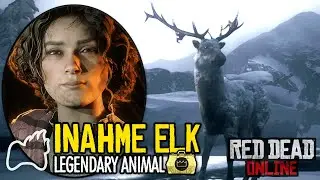 RED DEAD ONLINE Inahme Elk Sample - Legendary Animals Light Naturalist Walkthrough