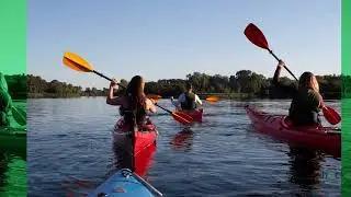 Fort De Soto Park Visitor's Guide