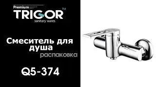 Обзор смесителя для душа Trigor Q5-374