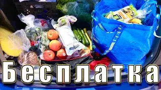 США 🇺🇸 БЕСПЛАТНАЯ ЕДА в Америке #13