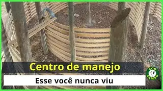 Centro de manejo para ovinos - Curral exclusivo