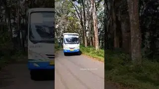 Jalur bus Damri Tulungagung ke Ponorogo #minivlog #trending
