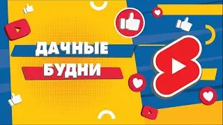 #Моменты лета