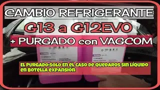 CAMBIO REFRIGERANTE G13 A G12EVO + PURGADO CON VAGCOM EN MOTORES GRUPO VW TDI