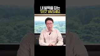 선택이 자꾸만 틀리는 이유
