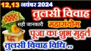 kab hai tulshi vivah 2024Tulsi Vivah Kab Hai 2024 Tulsi VivahMuhurat 2024  शुभमुहुत पूजा विधि उपाय
